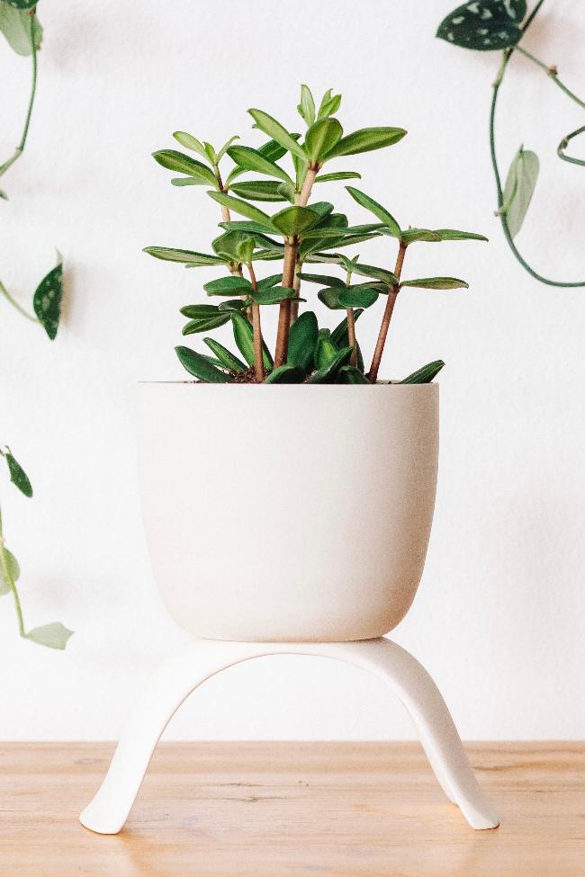 Ceramic Raised Plant Pot-8