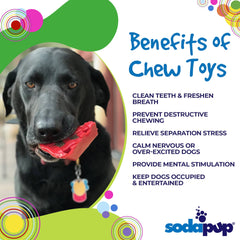 Cherry Pie Nylon Dog Chew Toy - Aware House