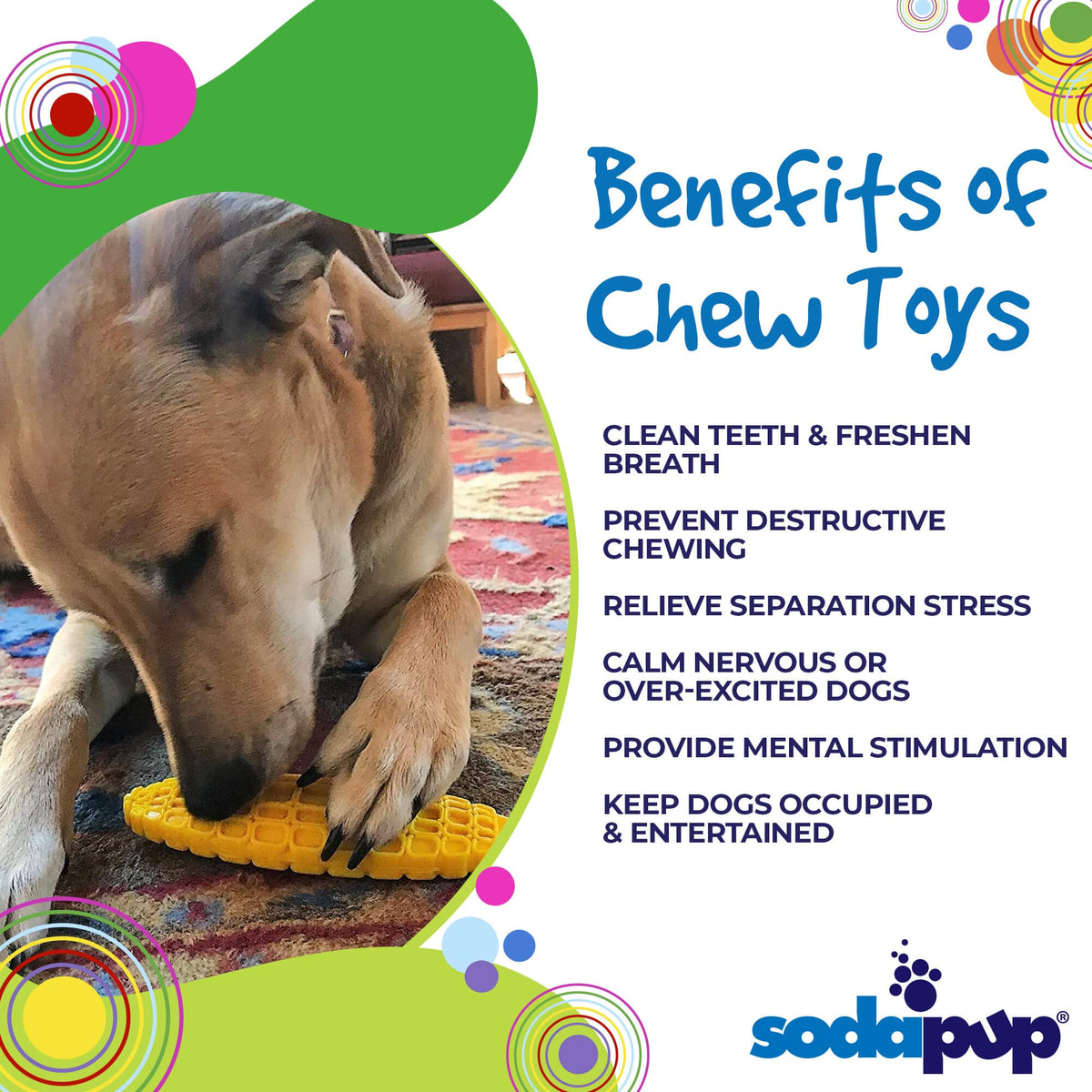 Corn on the Cob Nylon Dog Toy for Aggressive Chewers | USA Made | SodaPup-zoom-6