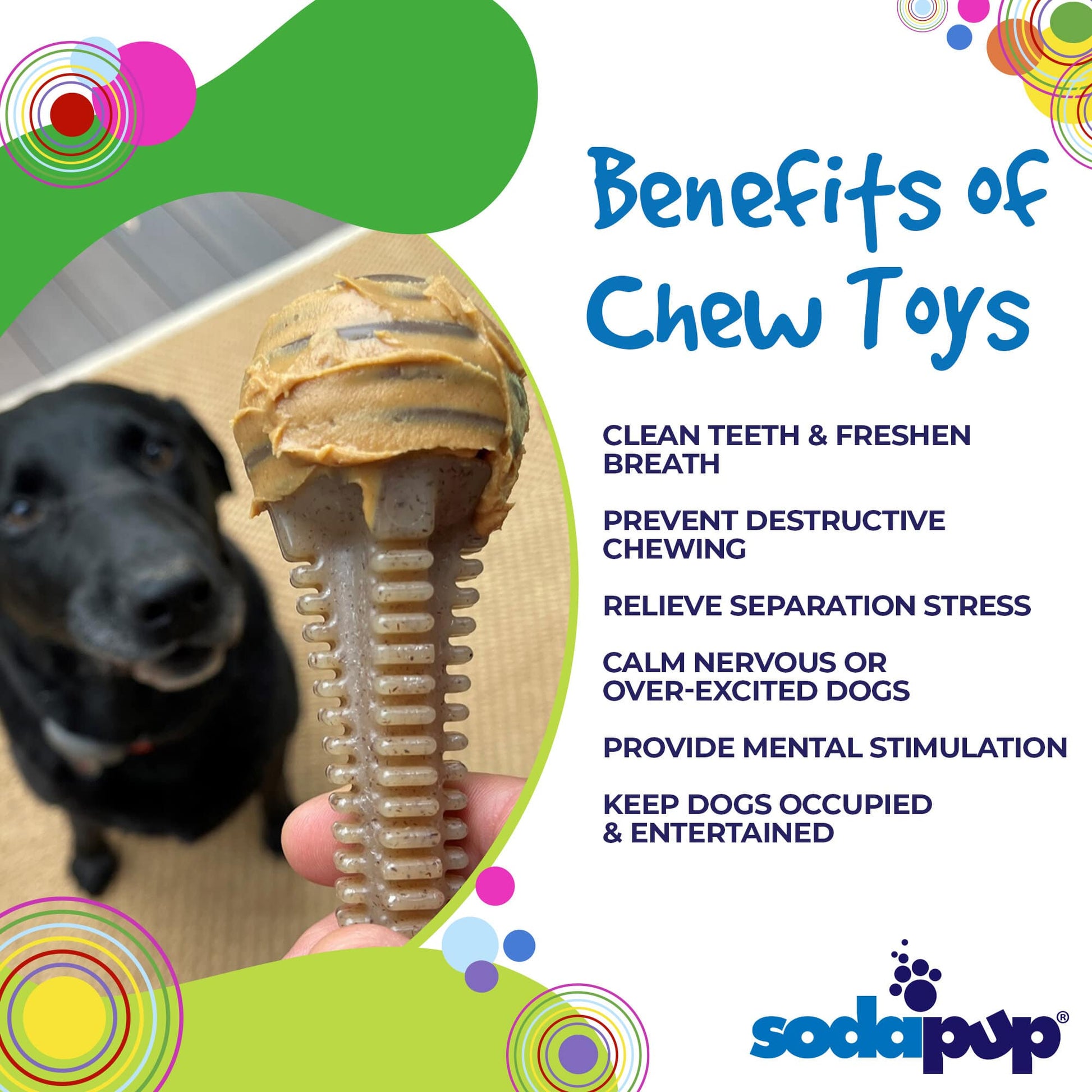 Honey Bone Dental Tower Nylon Chew Toy - Aware House