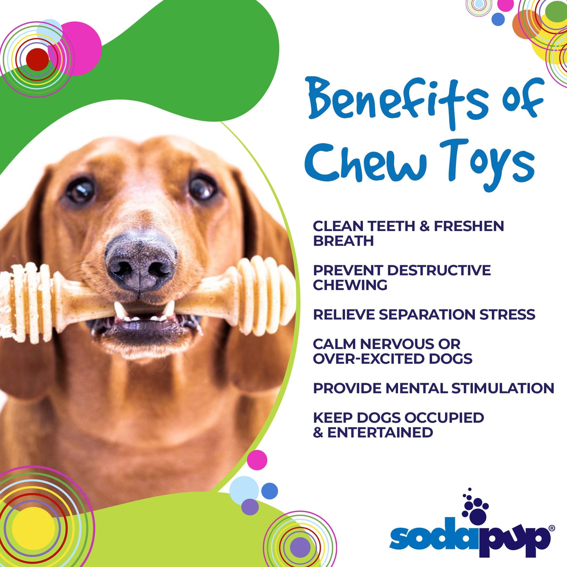 Honey Bone Nylon Dog Toy for Aggressive Chewers - Aware House