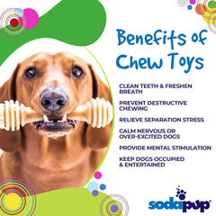 Honey Bone Nylon Dog Toy for Aggressive Chewers - Aware House