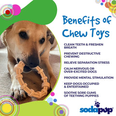 Chicken Flavored Dog Teething Ring - Aware House