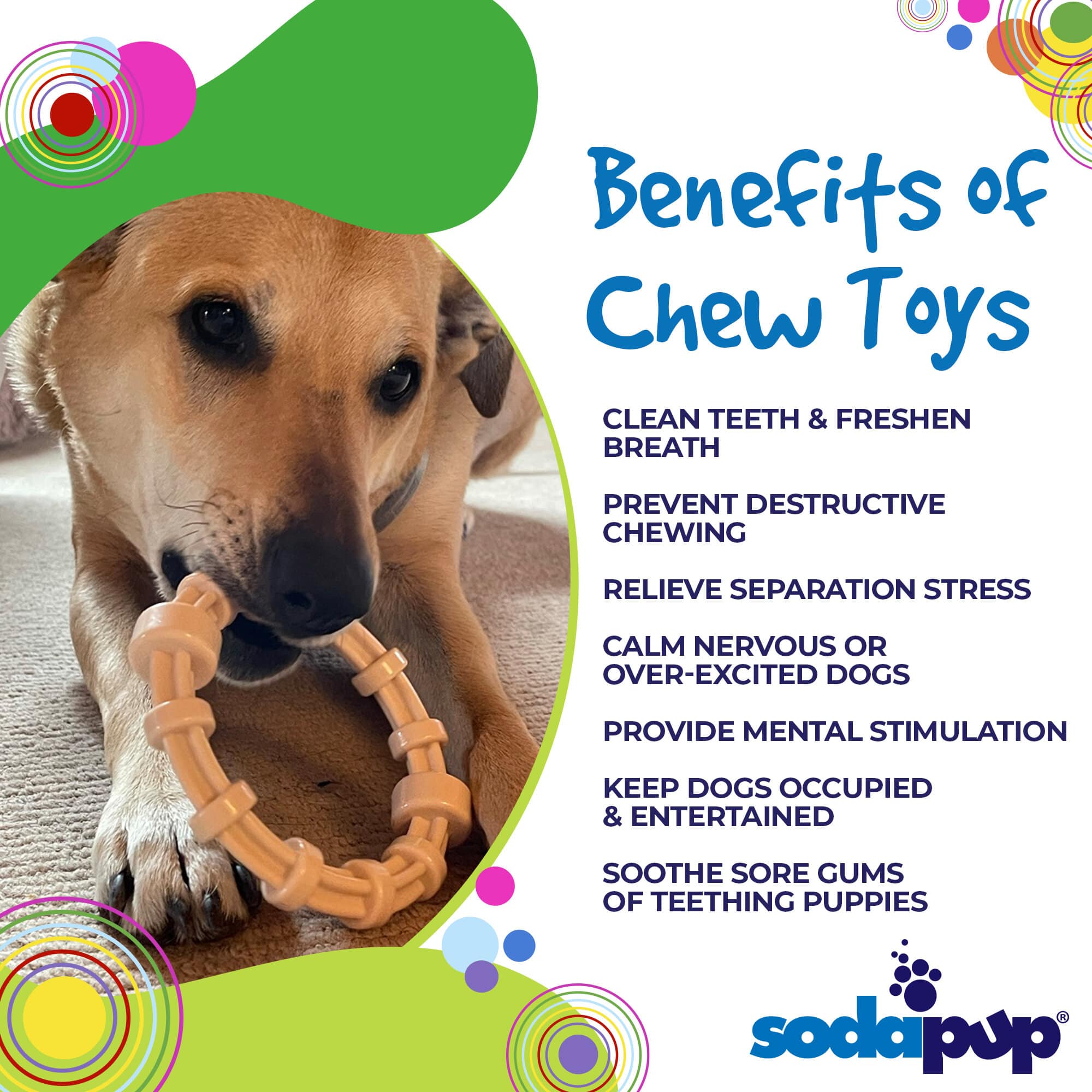 Chicken Flavored Dog Teething Ring - Aware House