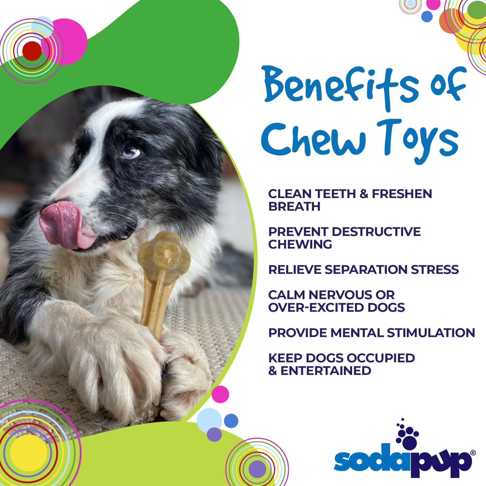 Knuckle Bone Nylon Dog Chew Toy - Aware House