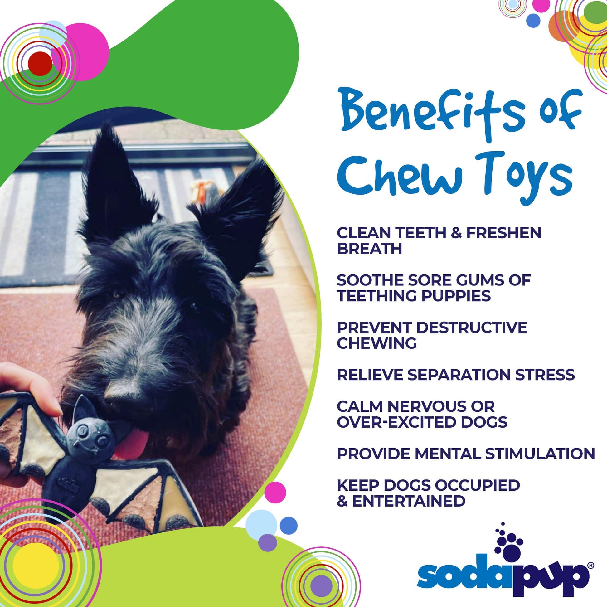 Vampire Bat Nylon Dog Chew Toy for Aggressive Chewers | USA Made & FDA Compliant-4