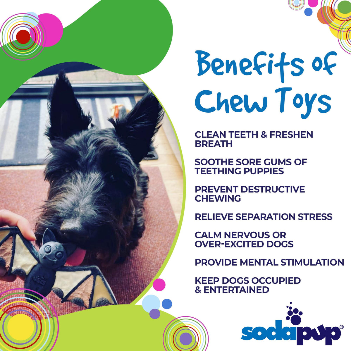 Vampire Bat Nylon Dog Chew Toy for Aggressive Chewers | USA Made & FDA Compliant-zoom-4