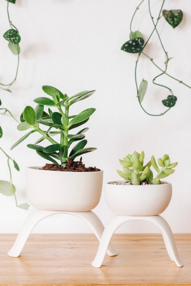 Ceramic Raised Plant Pot-zoom-11