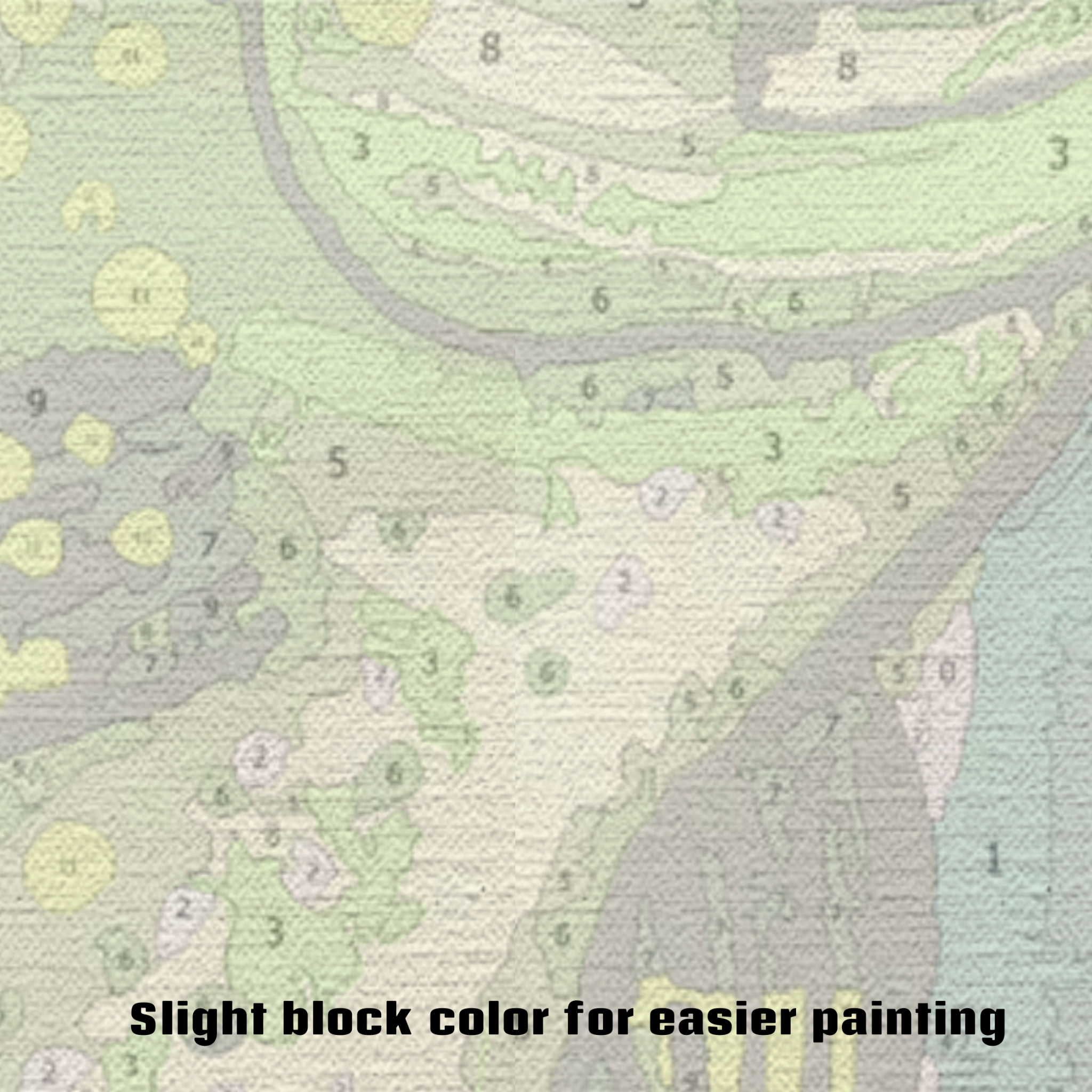 Bass Paint by Numbers Kit-zoom-3