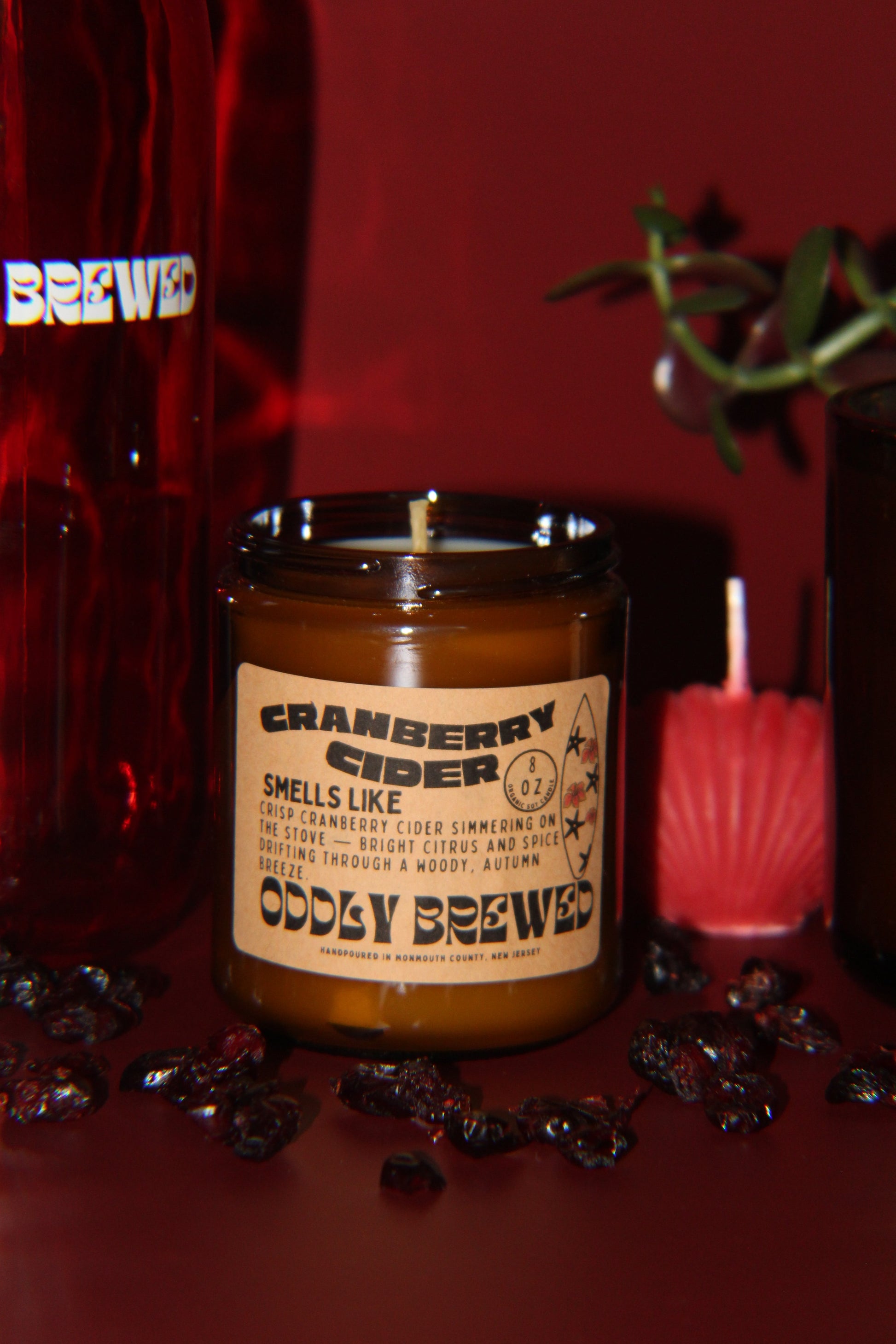 Cranberry Cider Soy Candle-4