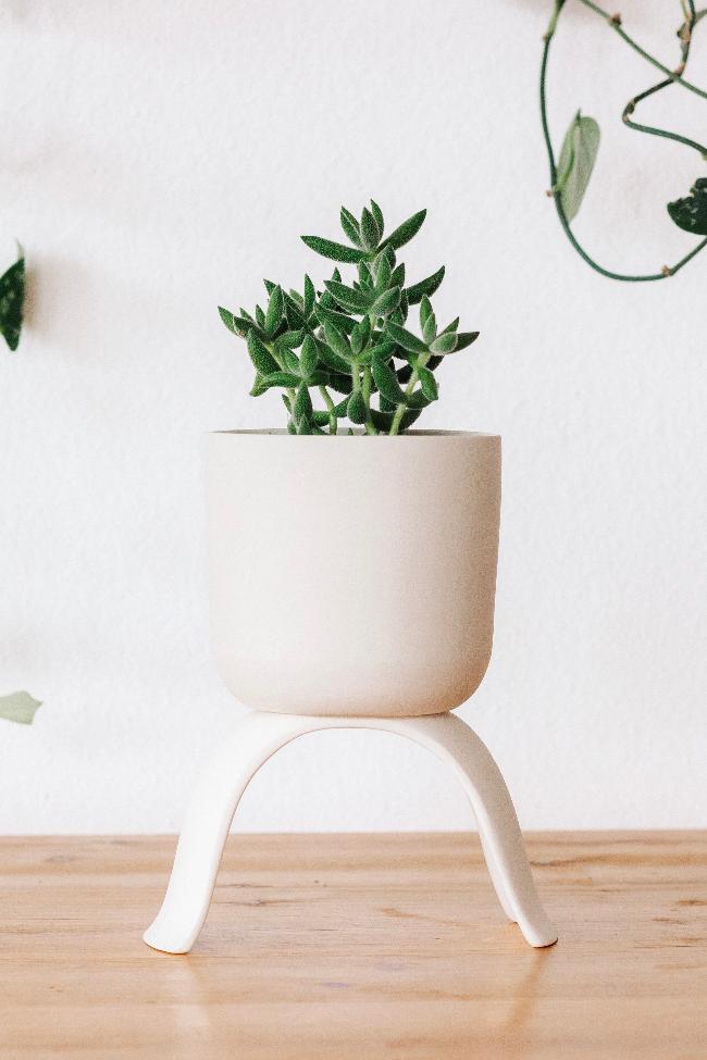 Ceramic Raised Plant Pot-zoom-