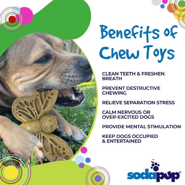 Butterfly Nylon Chew & Enrichment Toy - Aware House