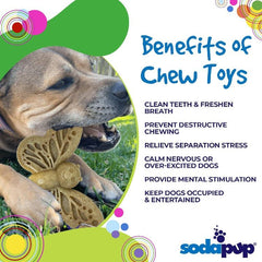 Butterfly Nylon Chew & Enrichment Toy - Aware House