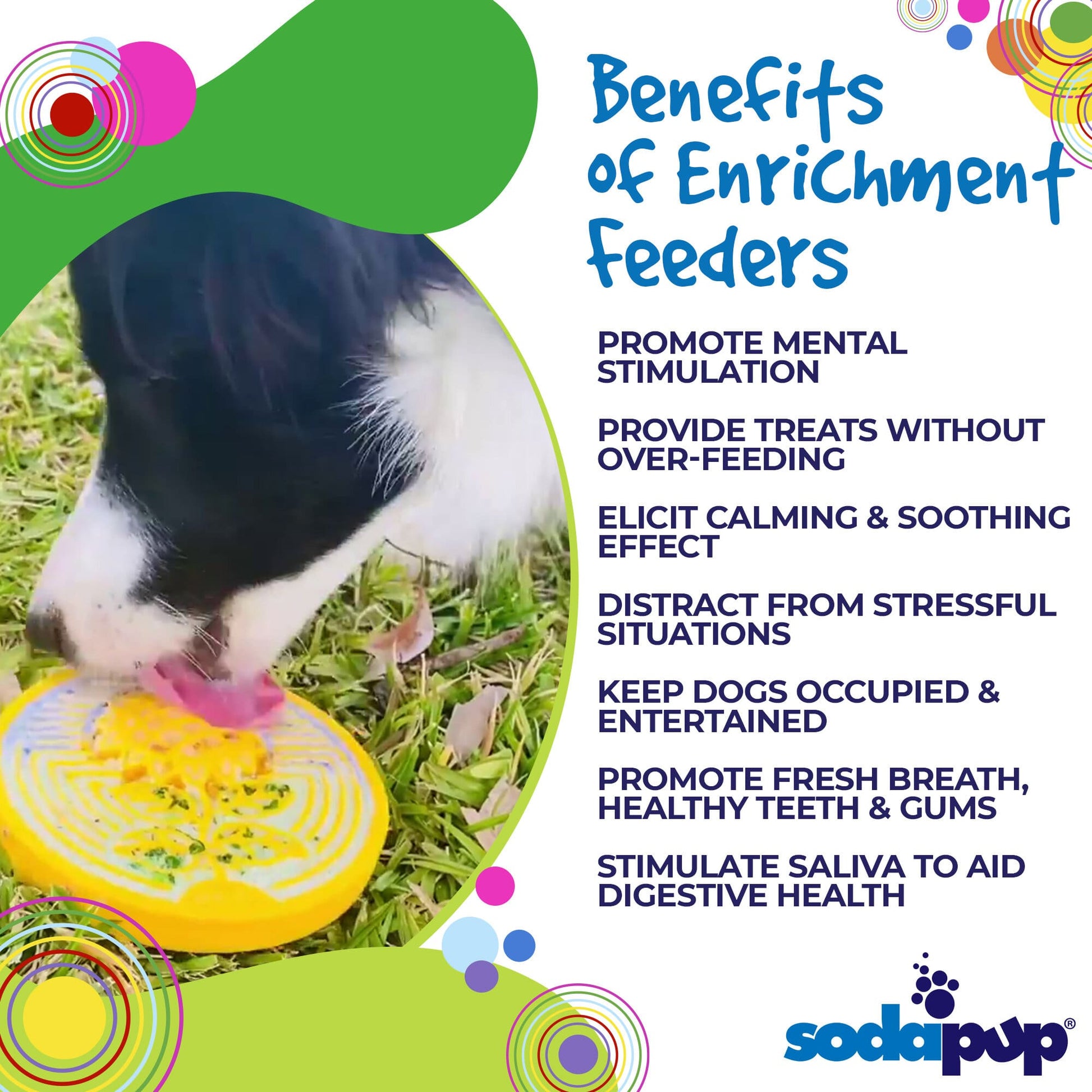 Earth eCoin Nylon Lick Mat for Dogs-5