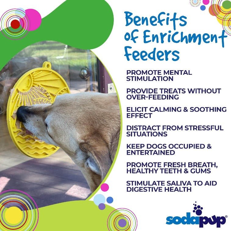 Sun n’ Sea Lick Mat with Suction Cups for Dogs & Cats - Aware House
