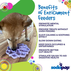 Mandala Softie eTray Shallow Slow Feeder Dog Bowl - Aware House