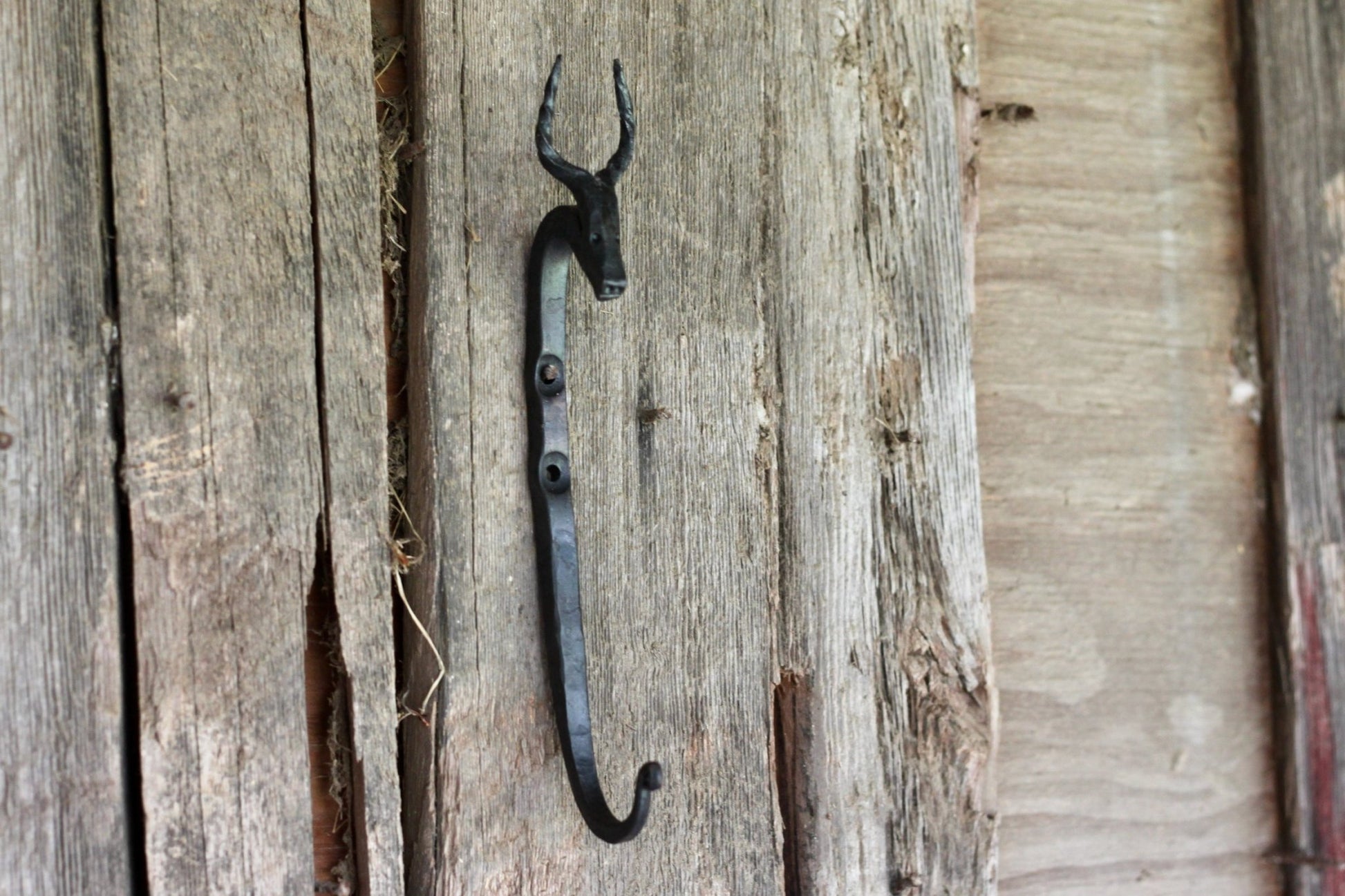 Animal Wall Hooks | Ram Bull Longhorn Unicorn Wall Hooks - Aware House