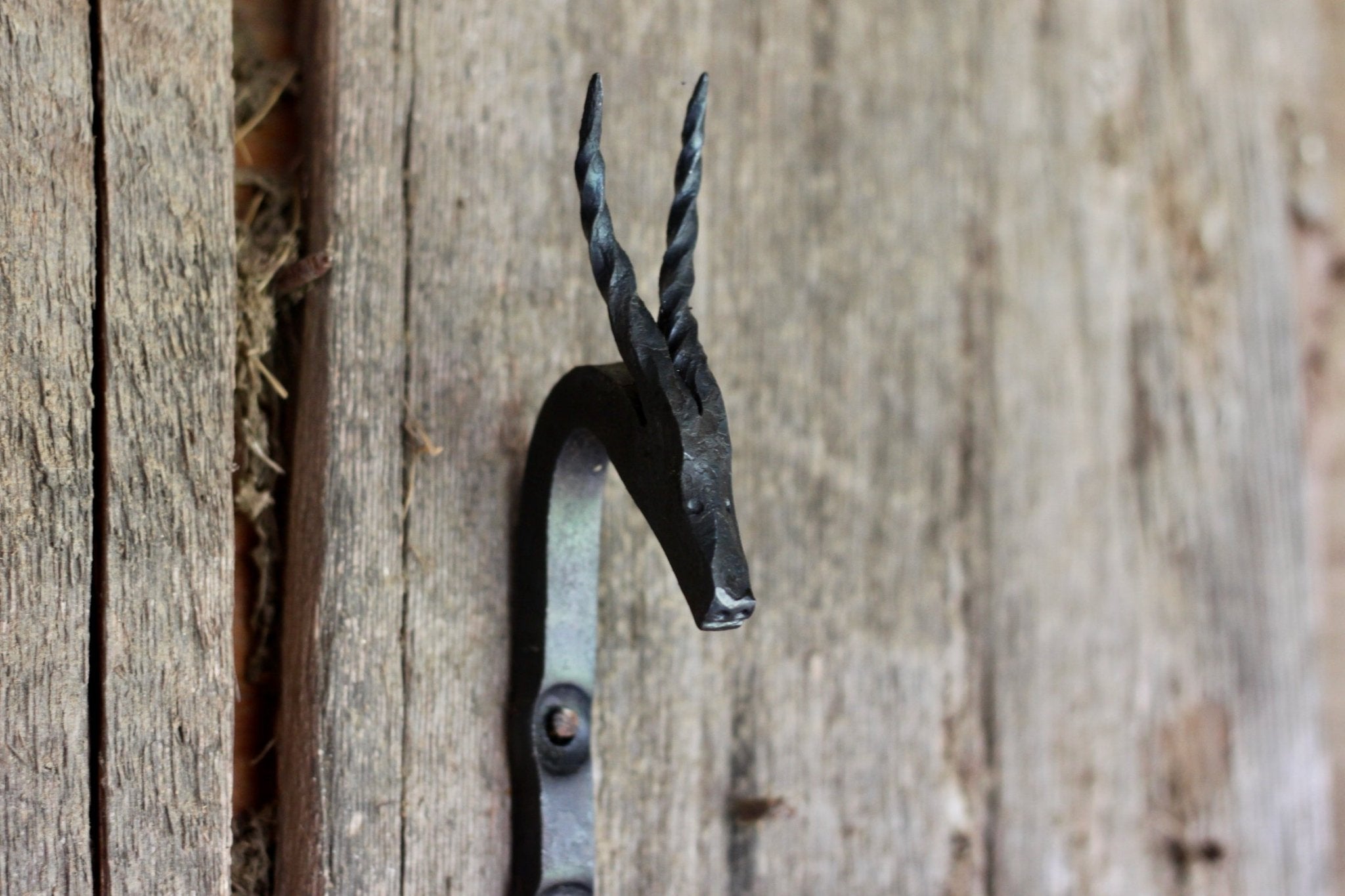 Animal Wall Hooks | Ram Bull Longhorn Unicorn Wall Hooks - Aware House