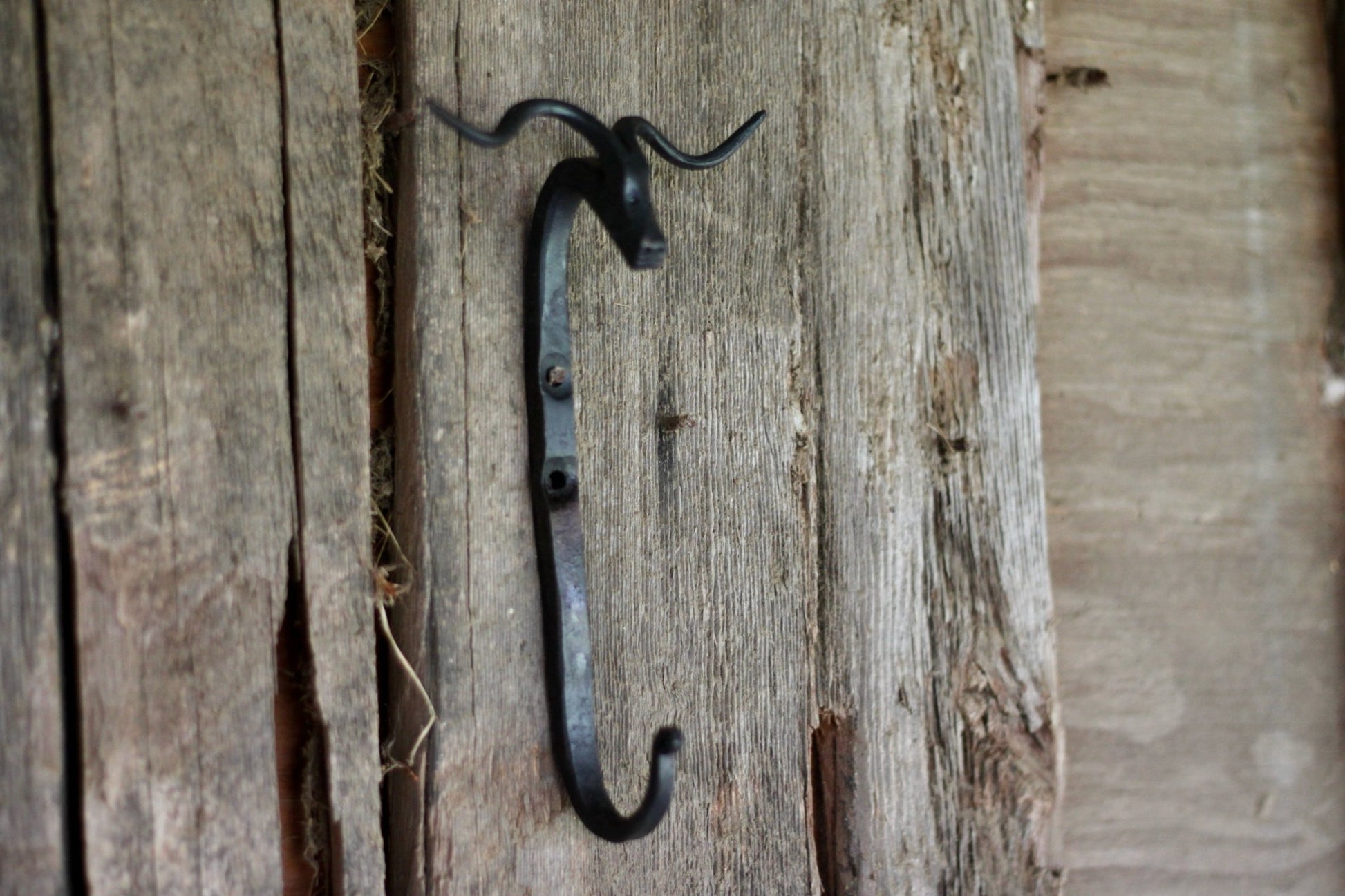 Animal Wall Hooks | Ram Bull Longhorn Unicorn Wall Hooks - Aware House