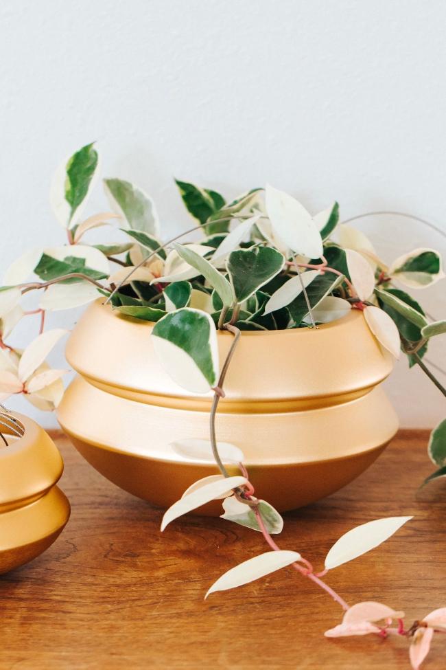 Hanging Planter - Aware House - Carter + Rose - 