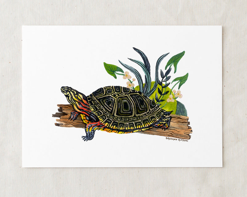 Painted Turtle Art Print-zoom-
