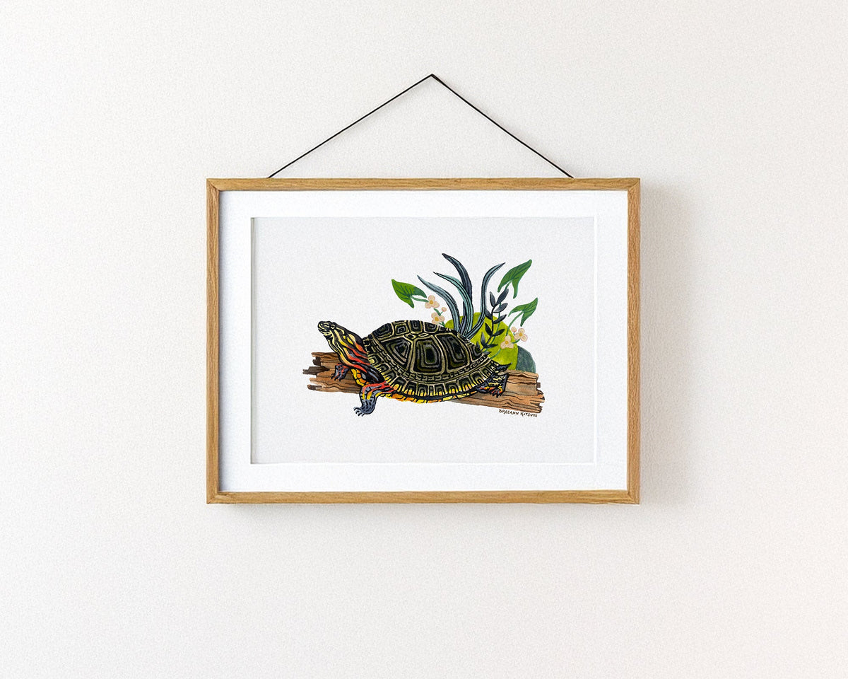 Painted Turtle Art Print-5