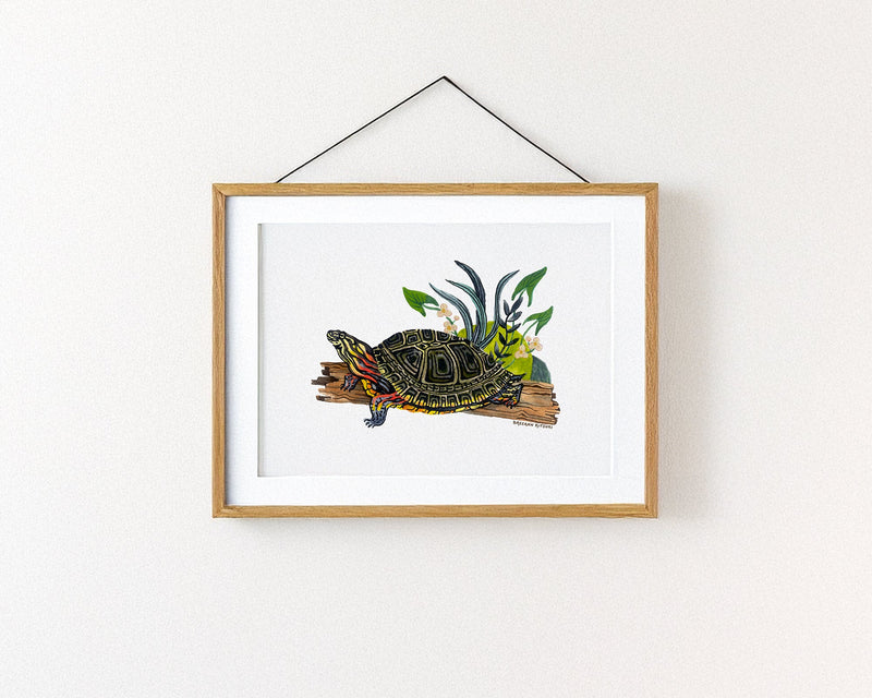 Painted Turtle Art Print-zoom-