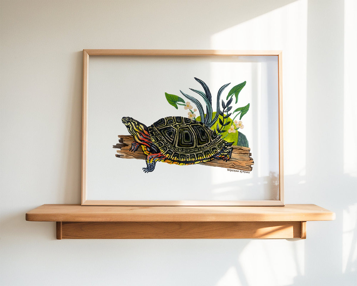 Painted Turtle Art Print-zoom-4