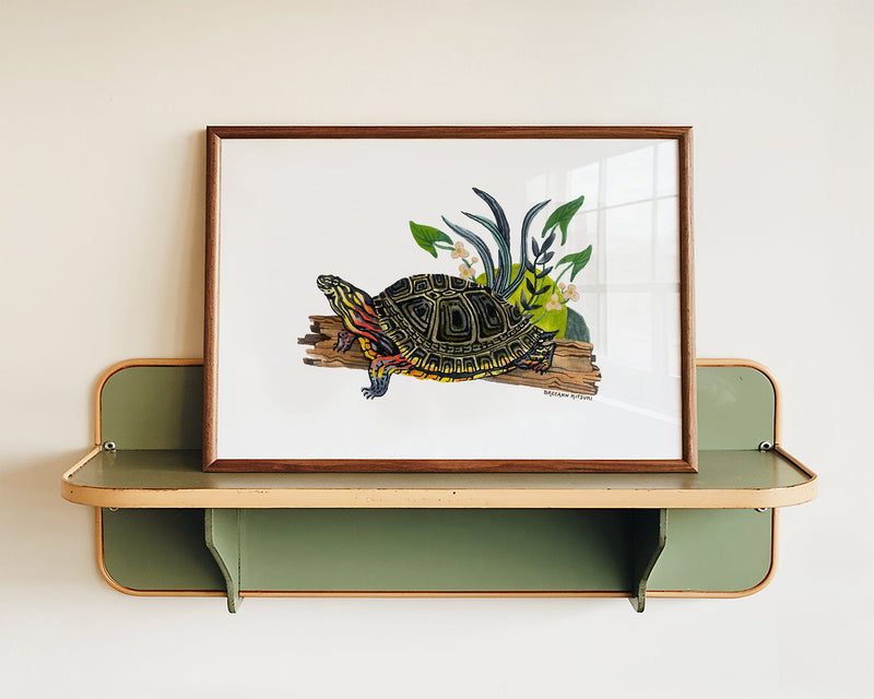 Painted Turtle Art Print-zoom-