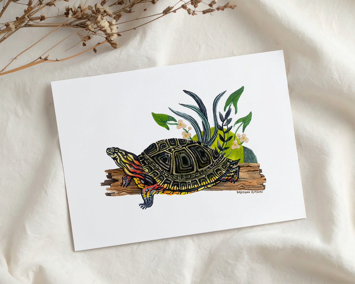 Painted Turtle Art Print-zoom-3