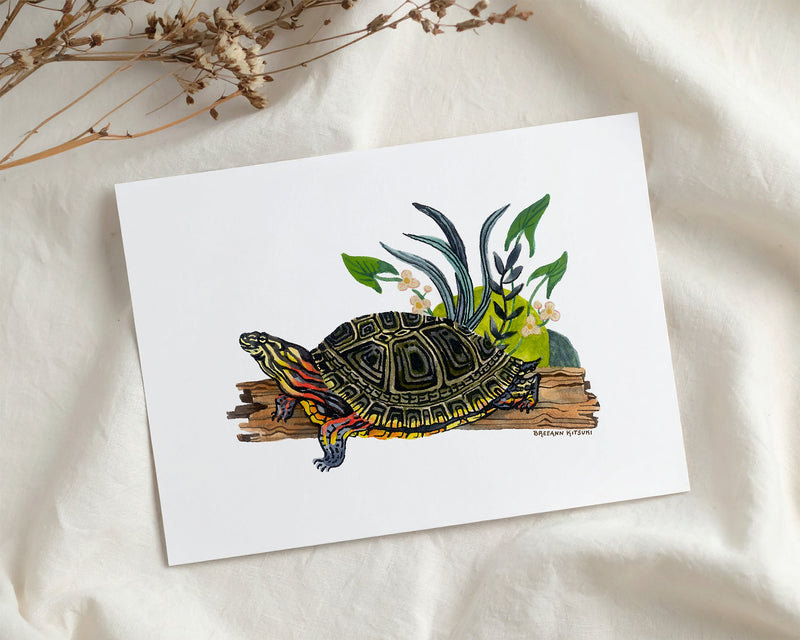 Painted Turtle Art Print-zoom-