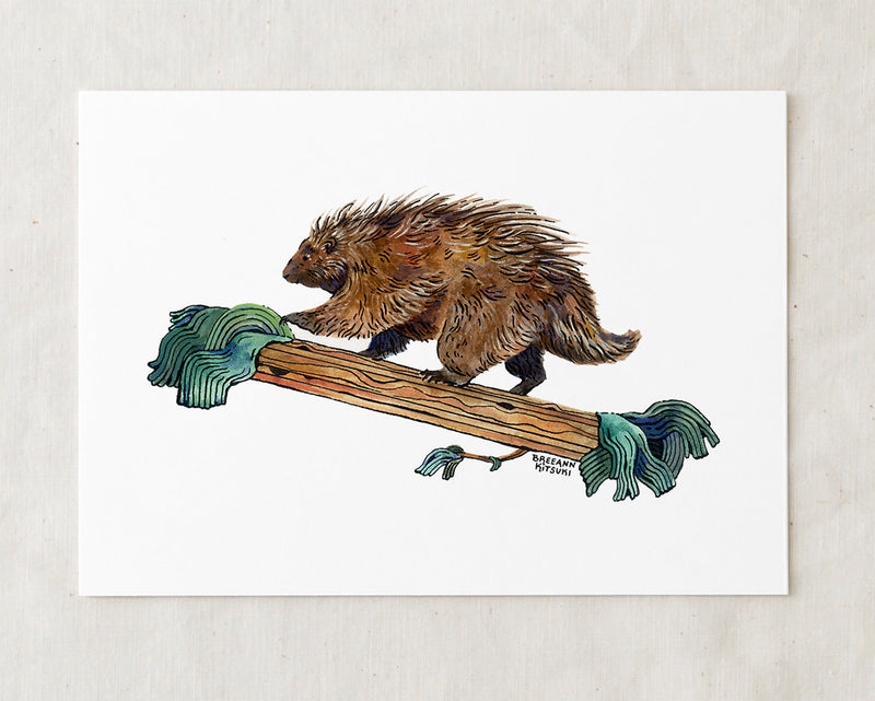 Porcupine Art Print-zoom-