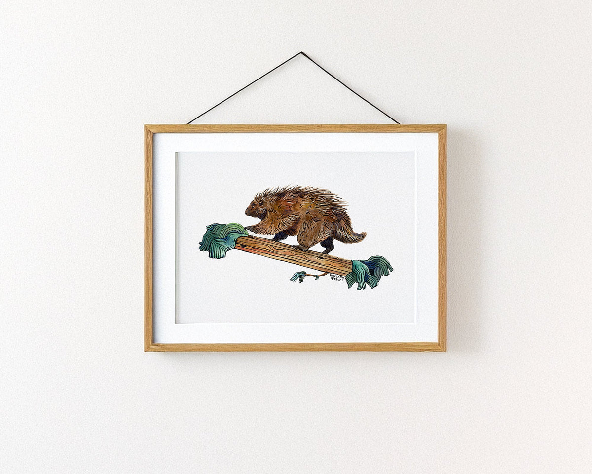 Porcupine Art Print-5