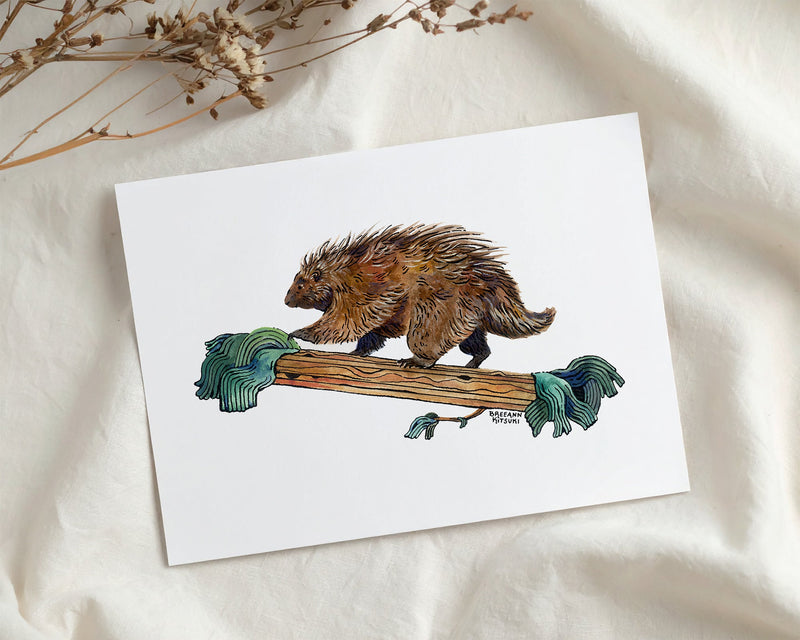 Porcupine Art Print-zoom-