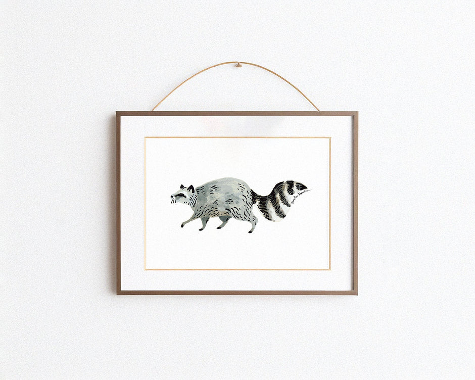 Raccoon Art Print