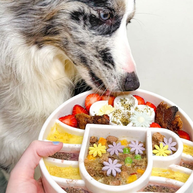 Java eBowl Deep Slow Feeder Dog Bowl-6