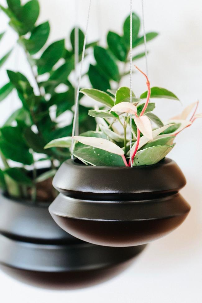 Hanging Planter - Aware House - Carter + Rose - 