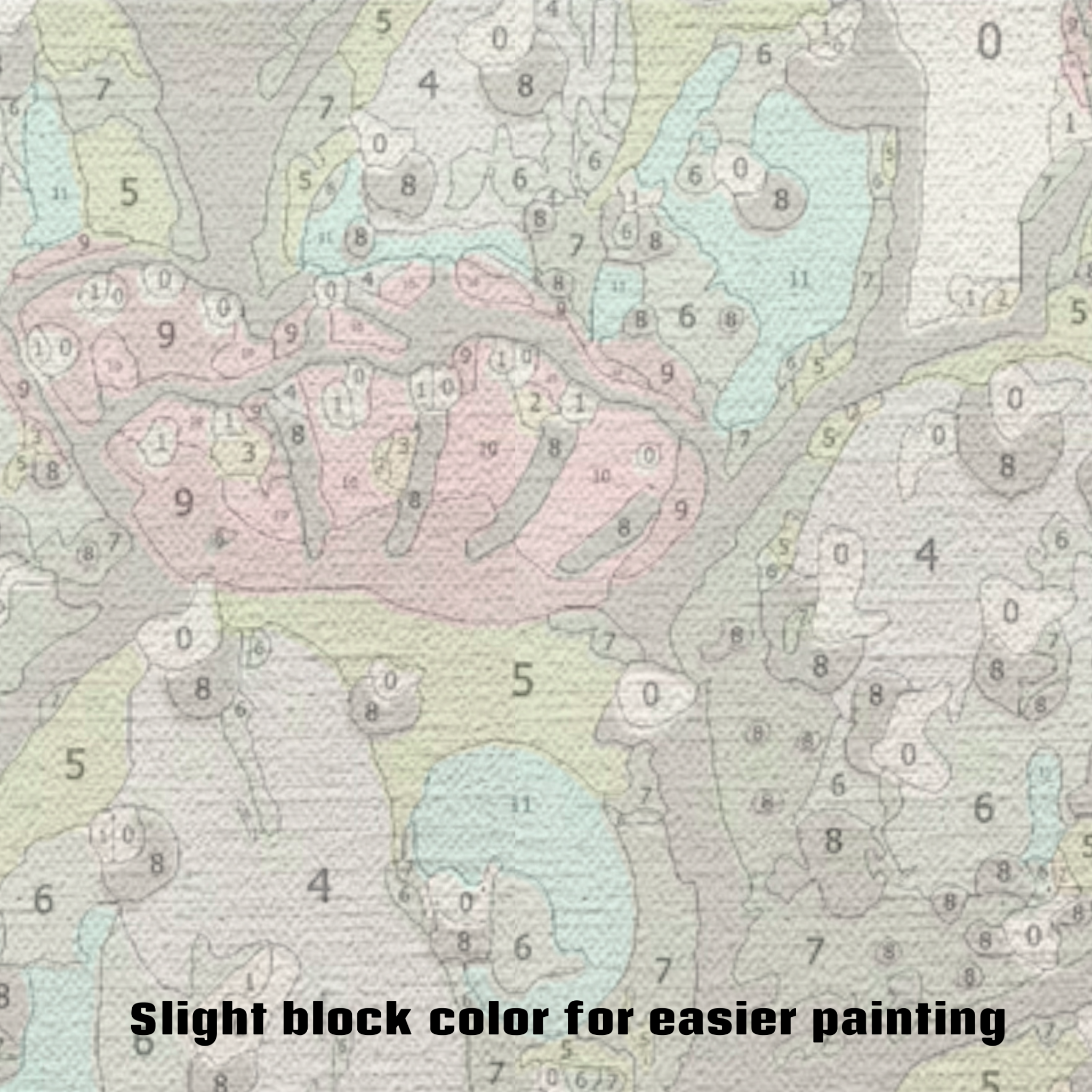 Prickly Pear Paint by Numbers Kit