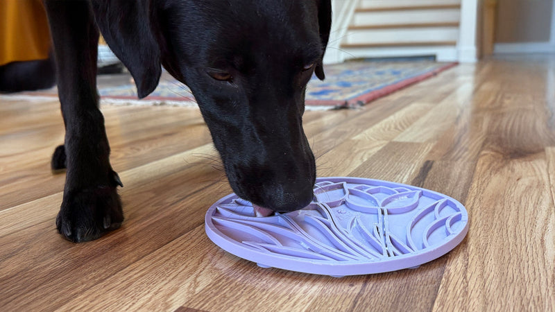 Tulip Design Lick Mat for Dogs and Cats-zoom-
