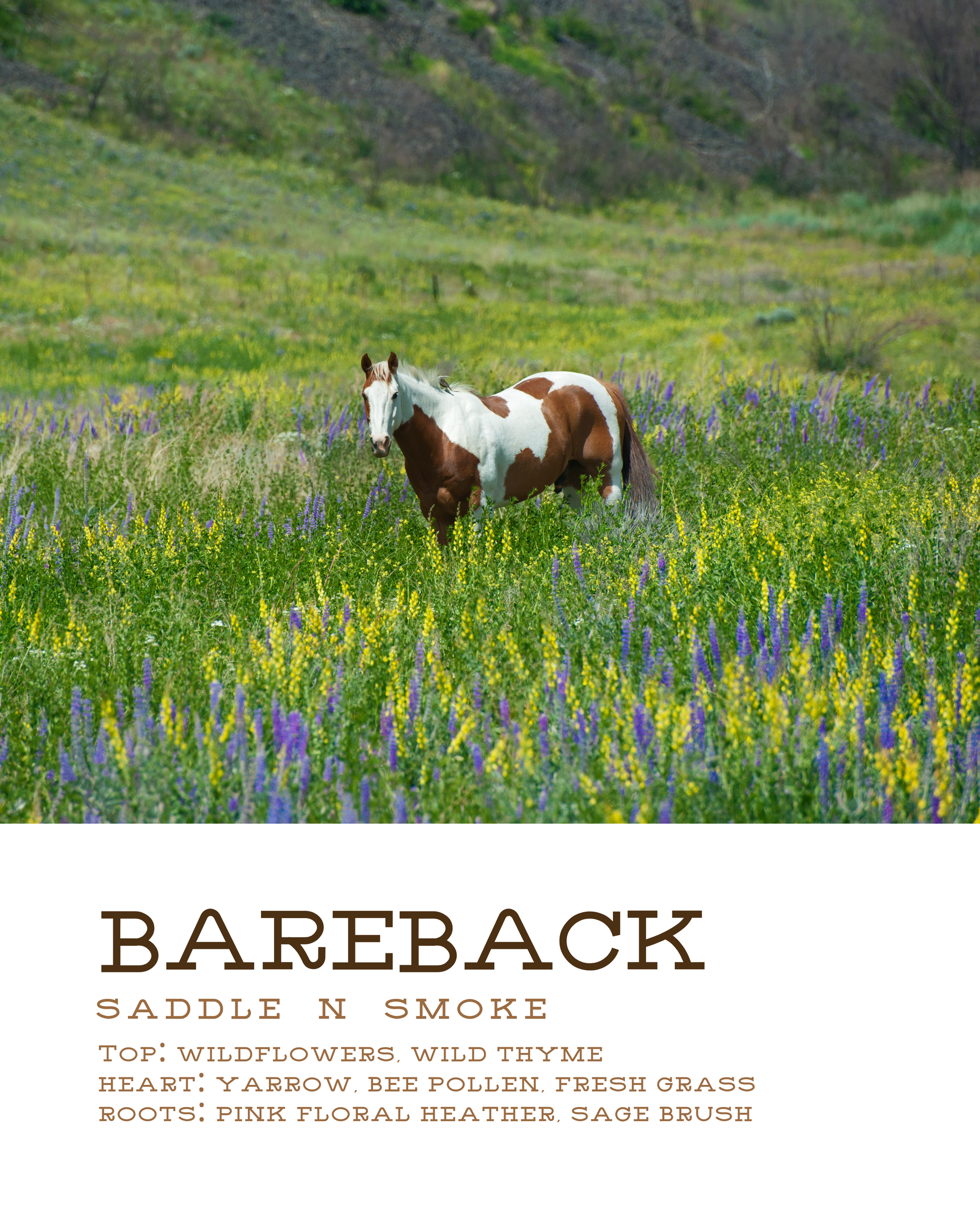 Bareback Candle-4