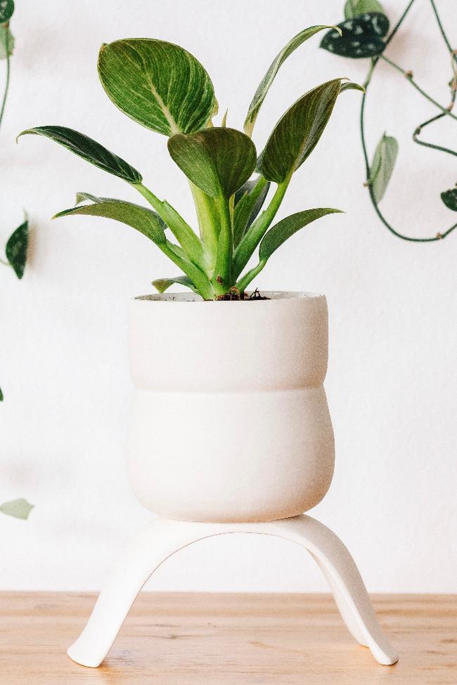 Ceramic Raised Plant Pot-4