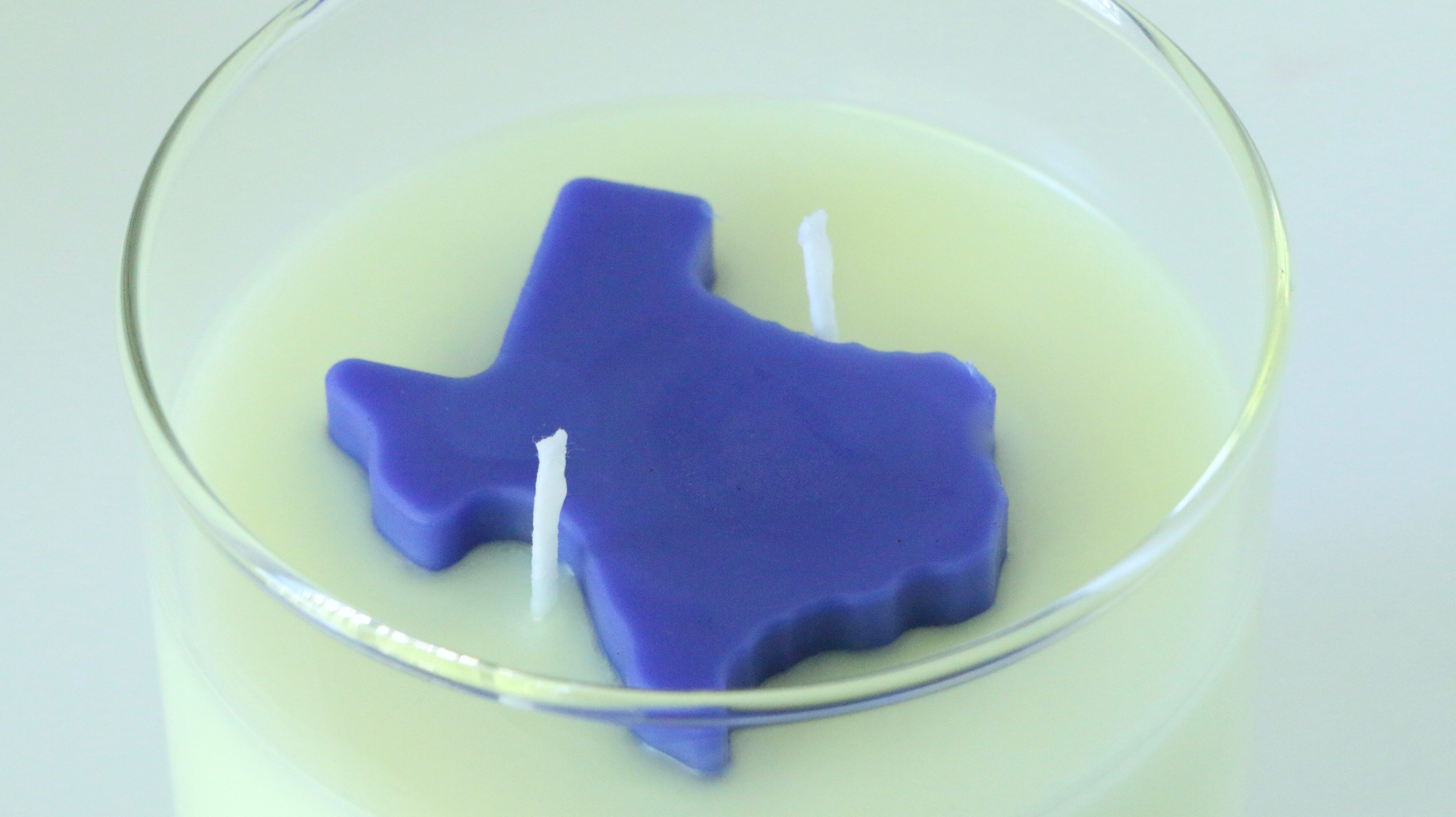 Texas Bluebonnet Container Candle