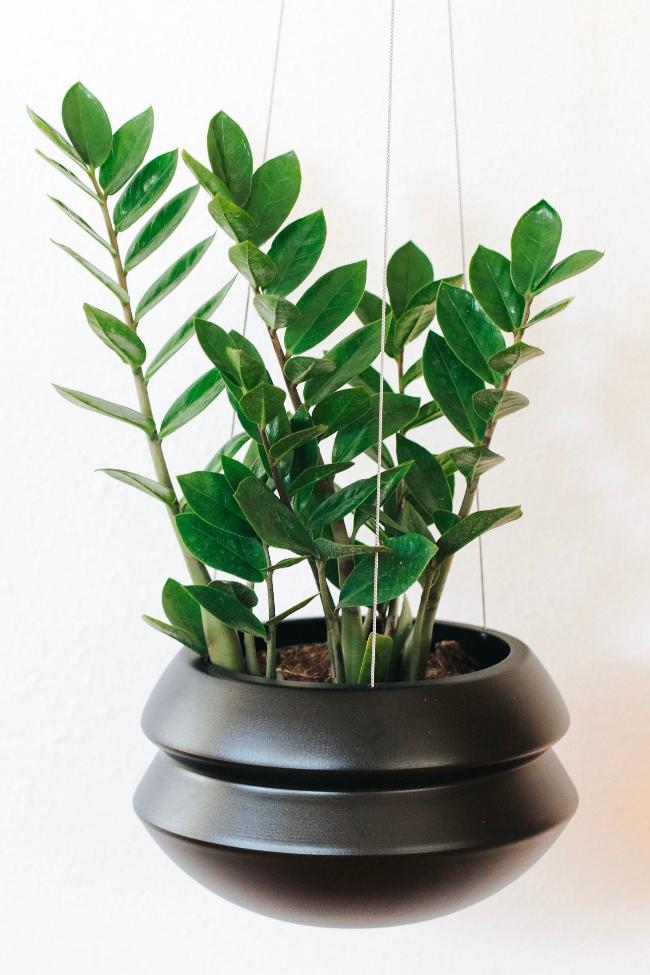 Hanging Planter-zoom-