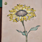 Follow The Sun | Journey Journal