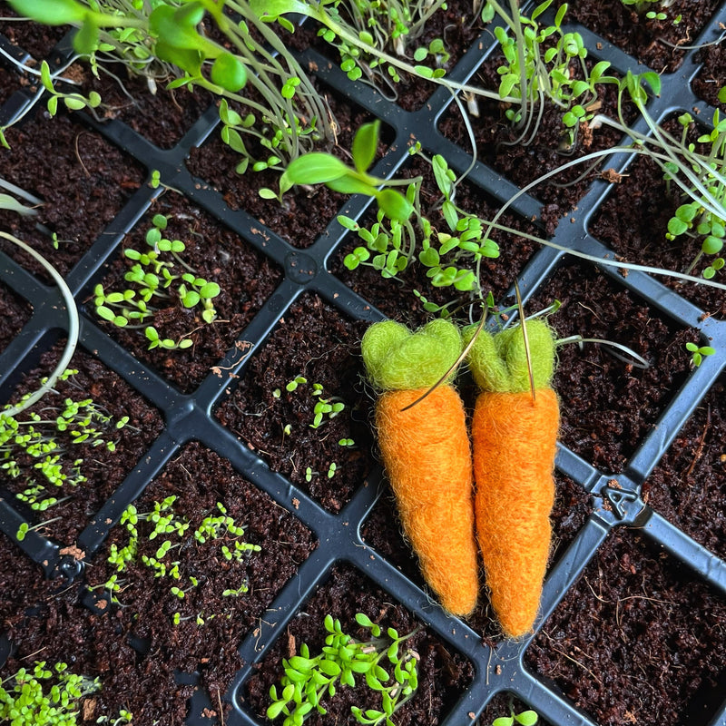 Organic Carrot Earrings-zoom-
