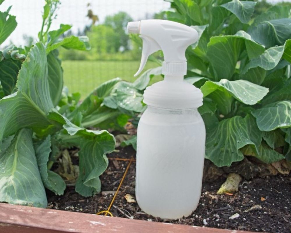 reCAP® Mason Jar Lids 6-Piece Gardening Kit