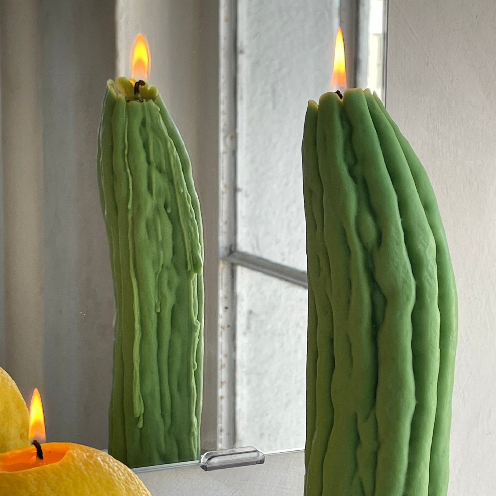Bitter Melon Candle-13