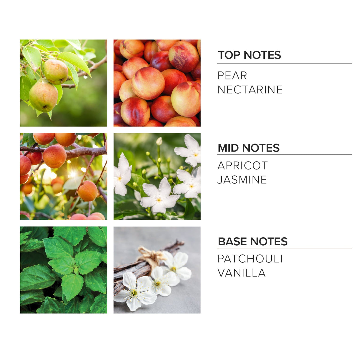 Apricot Bloom Linen Spray - Aware House - Broken Top Brands -