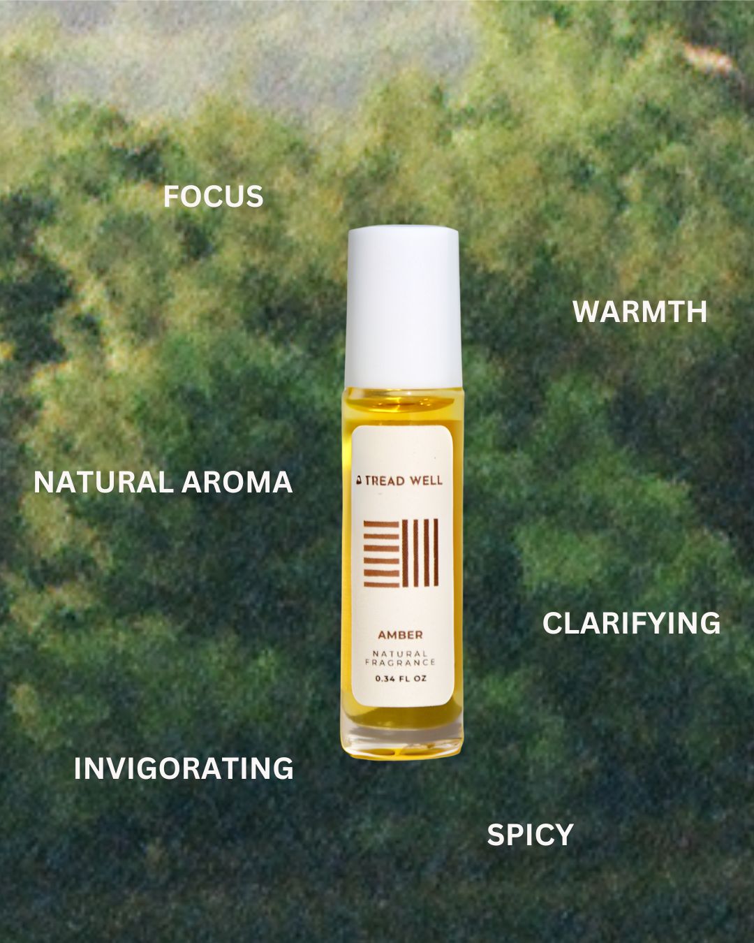Natural Fragrance | Amber-zoom-3