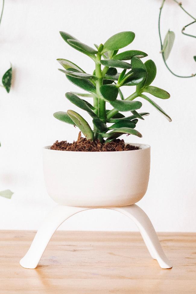 Ceramic Raised Plant Pot-6